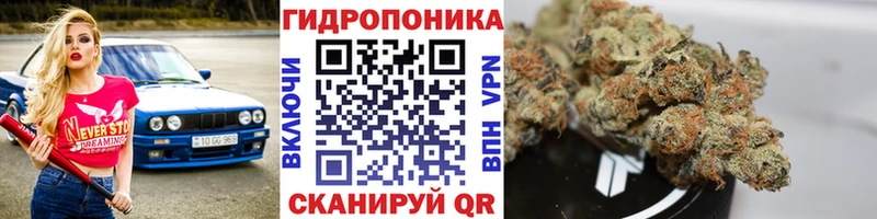 Купить наркотики сайты Суздаль A PVP Мефедрон КОКАИН ГАШИШ Галлюциногенные грибы Бошки Шишки