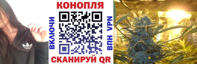 MEGA ТОР  Суздаль  МАРИХУАНА план 